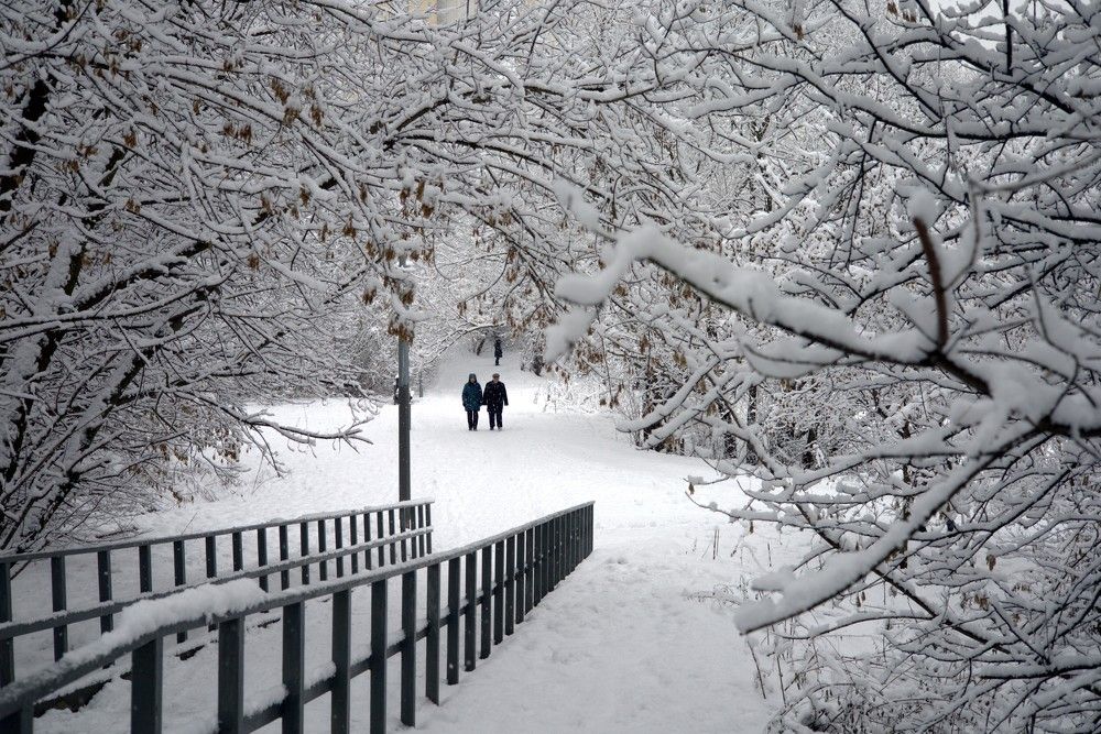 Photograph by владимир Заворотный
