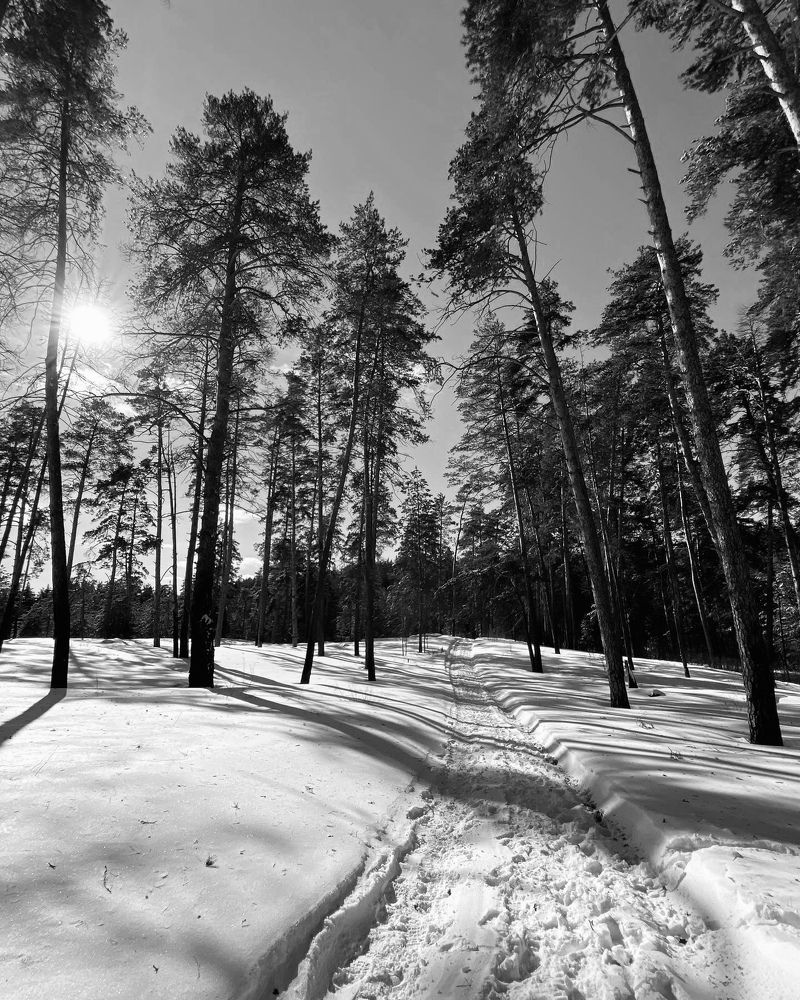 Photograph by Евгения Решетникова