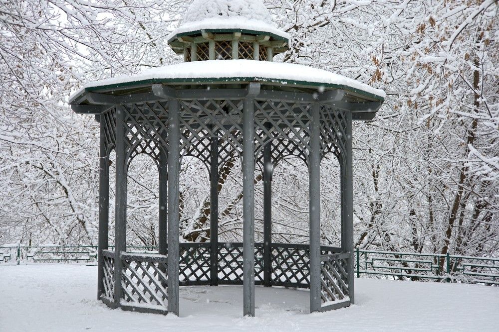 Photograph by владимир Заворотный