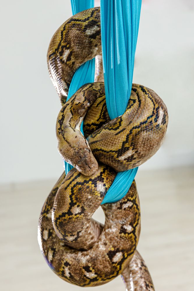 Photograph by Ирина Левакова