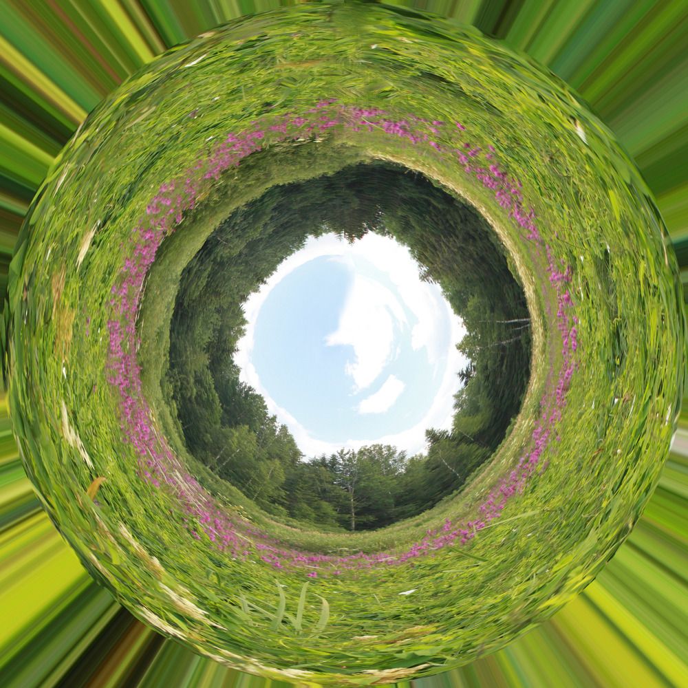 Photograph by Елена Кутепова