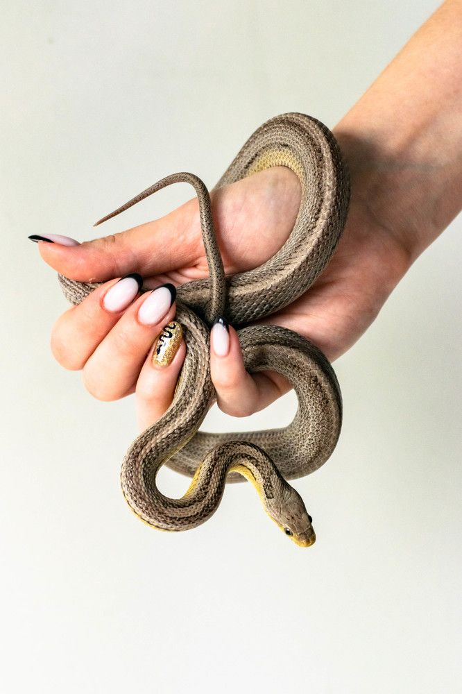 Photograph by Наталья Вялых