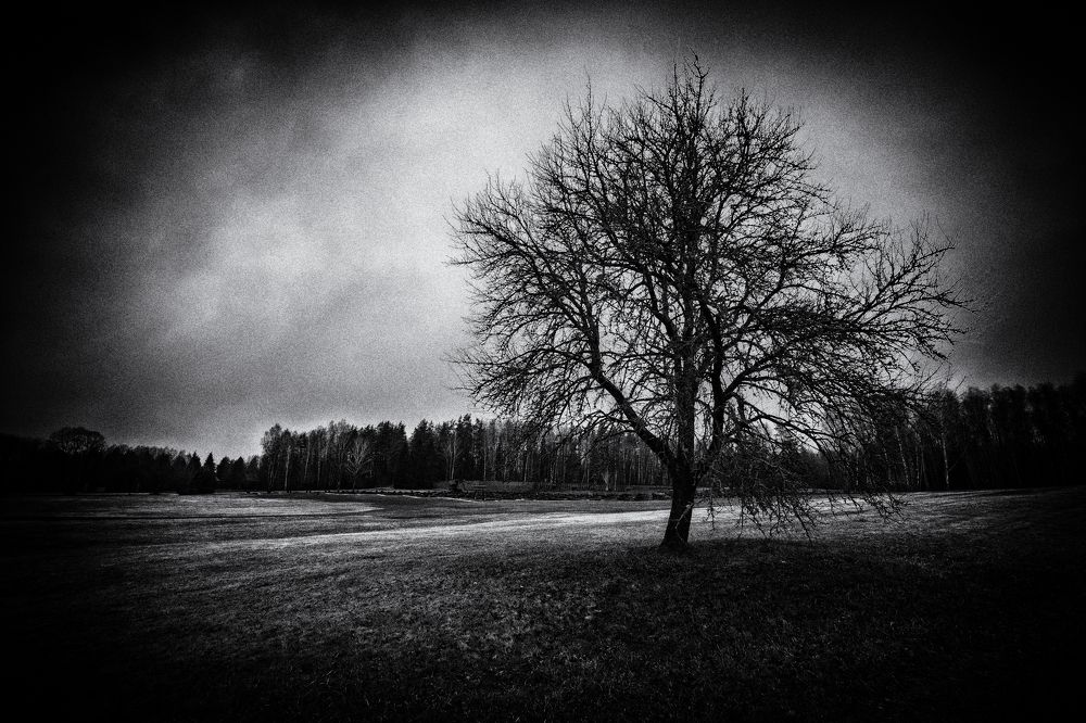 Photograph by Андрей Пучков