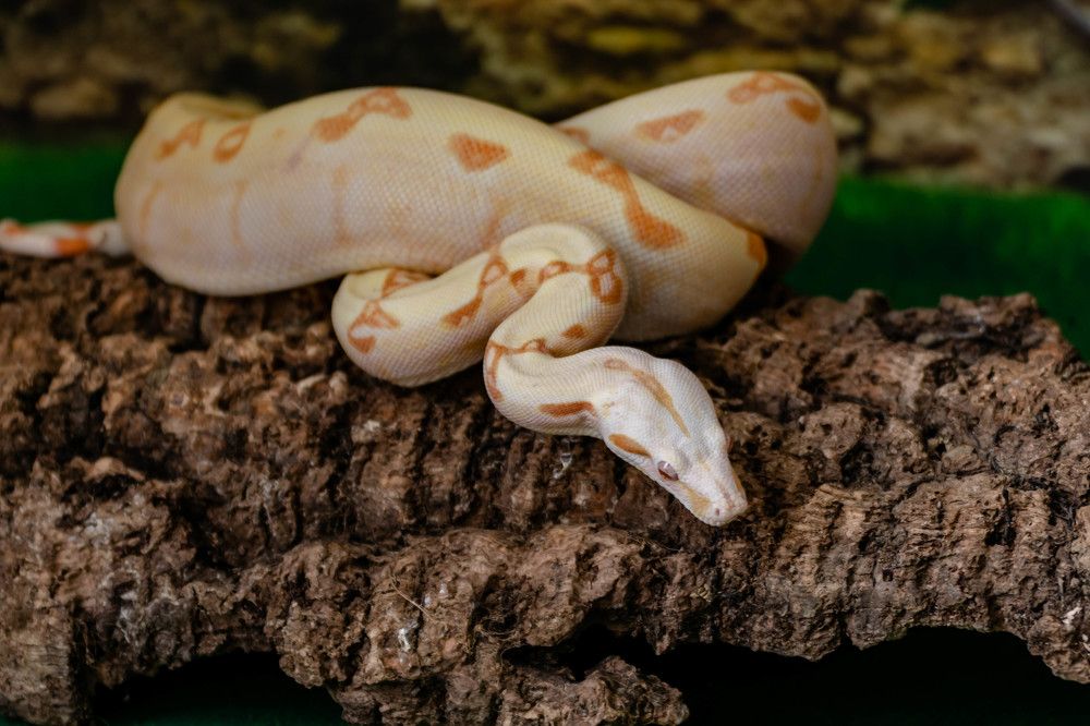 Photograph by Наталья Вялых