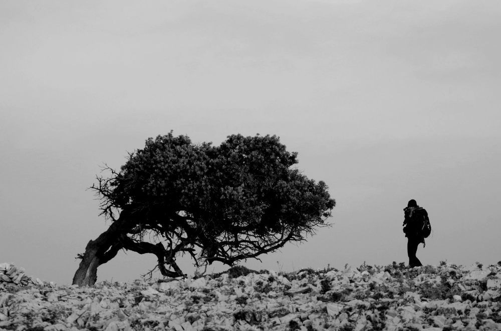 Photograph by Damir Gržin