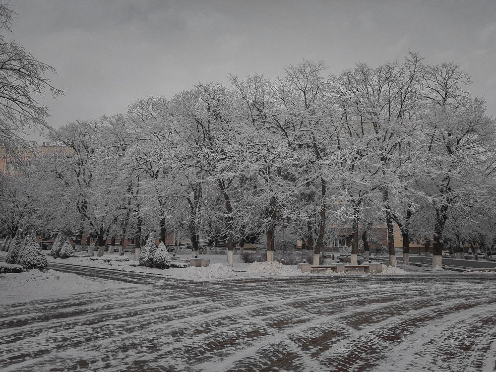 Фотография автора Даниил Барченко