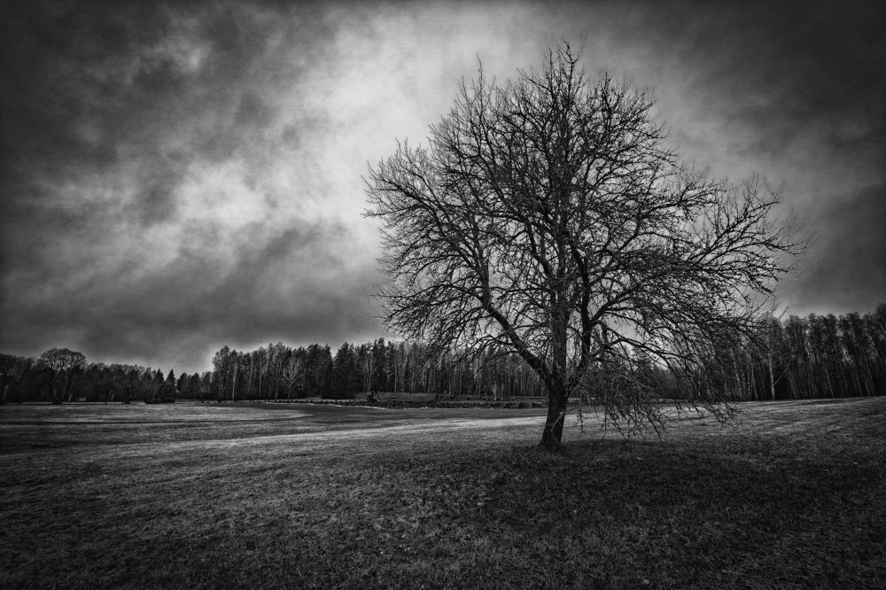 Photograph by Андрей Пучков