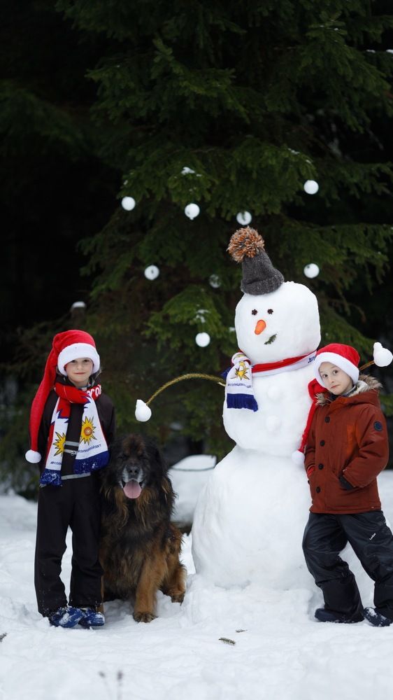 Photograph by Елена Митина