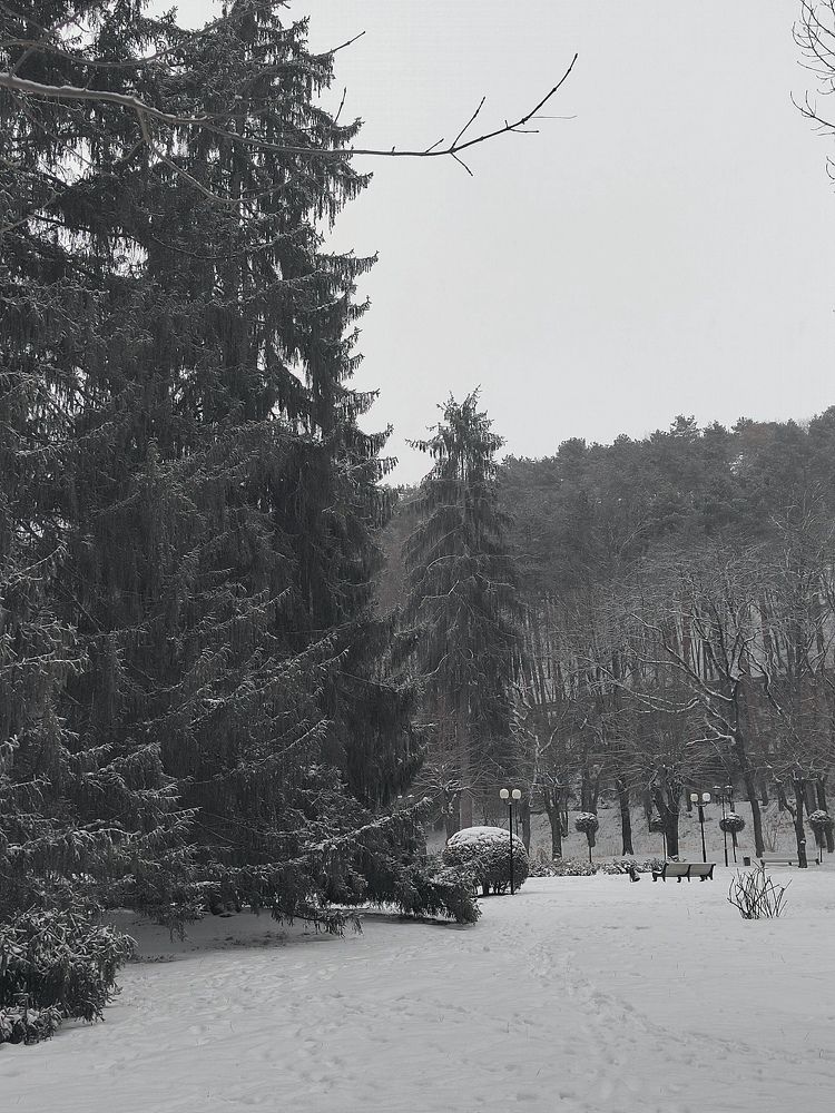 Photograph by Куделенко Оксана