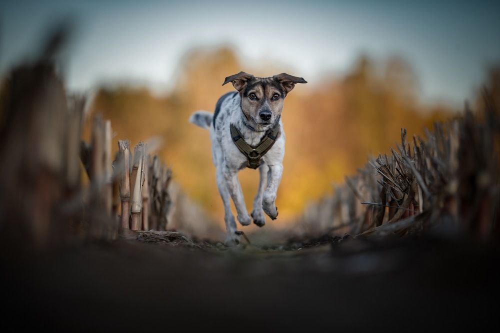 Photograph by Karoline Palme