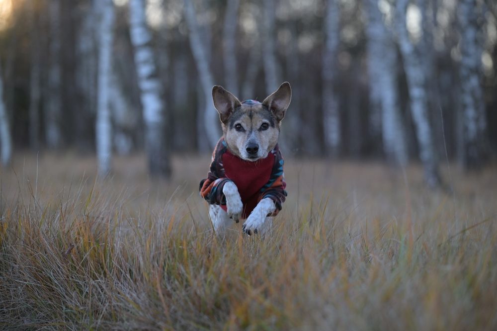 Photograph by Karoline Palme