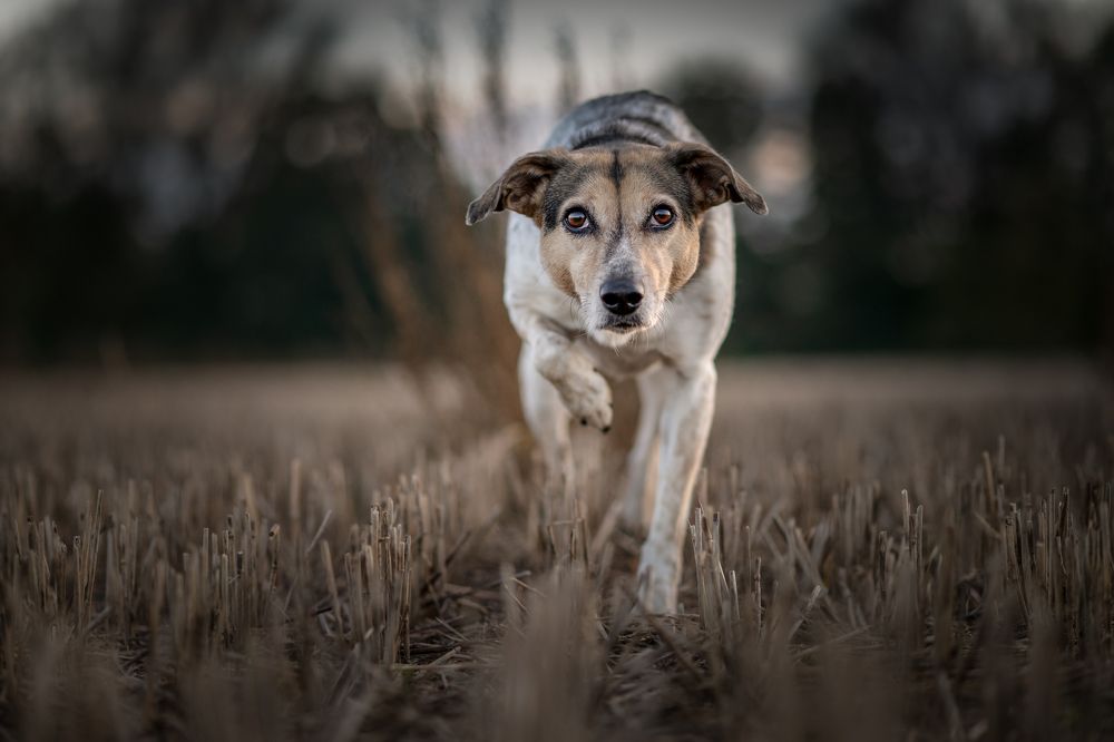 Photograph by Karoline Palme