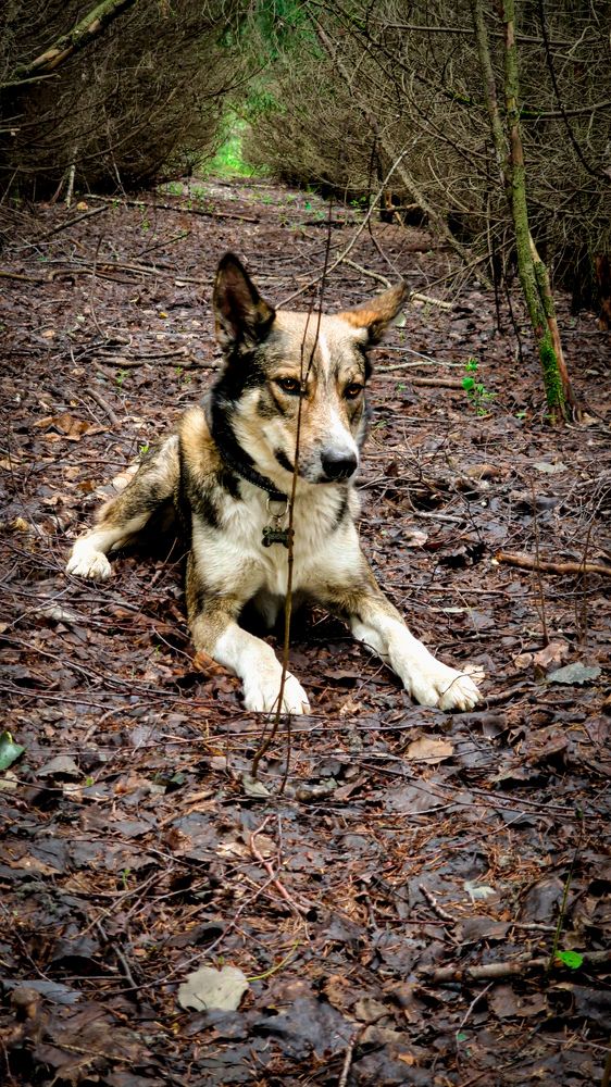 Фотография автора Всеволод Юрша