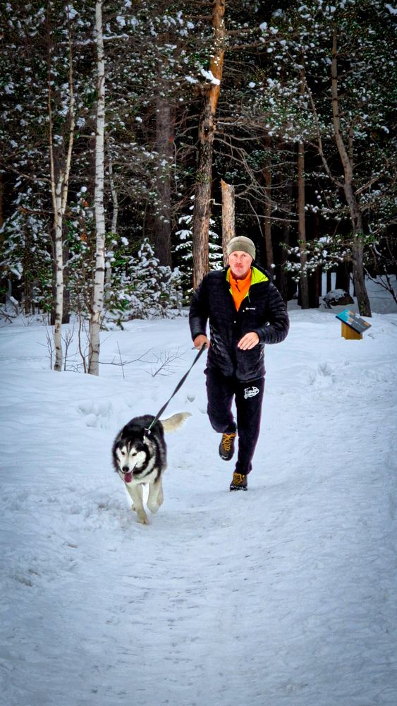 Фотография автора Всеволод Юрша