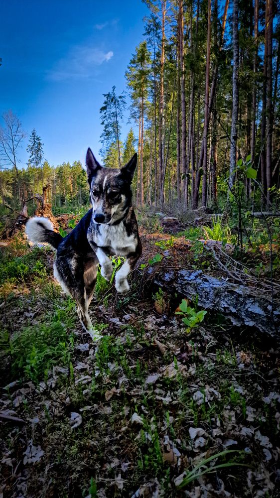 Фотография автора Всеволод Юрша