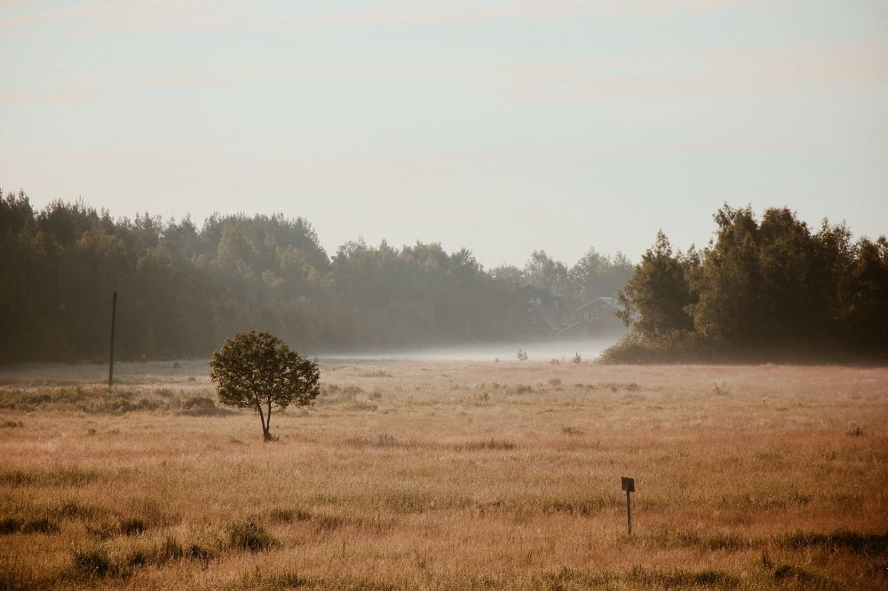 Photograph by Анна Любимова