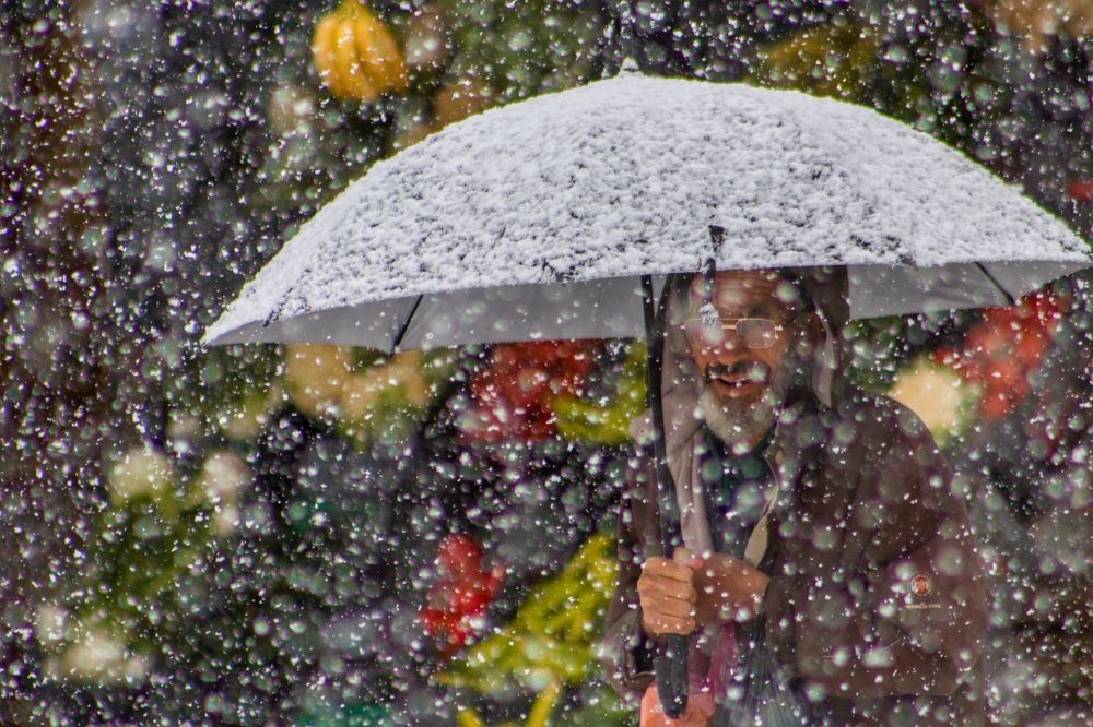 Photograph by Saadi Bouchama