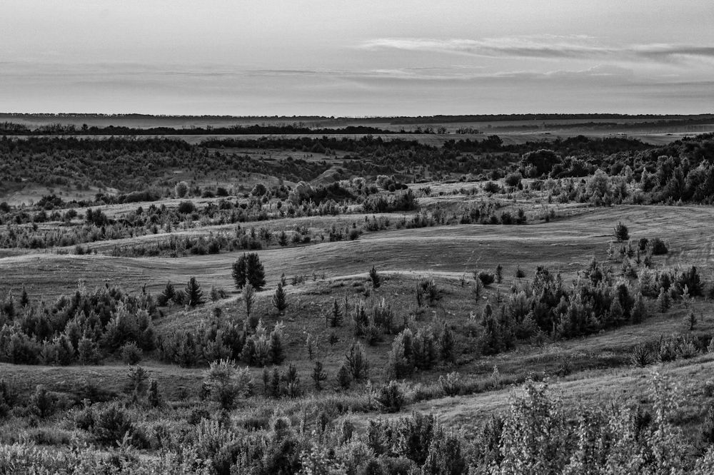 Photograph by Сергей Конюшенко