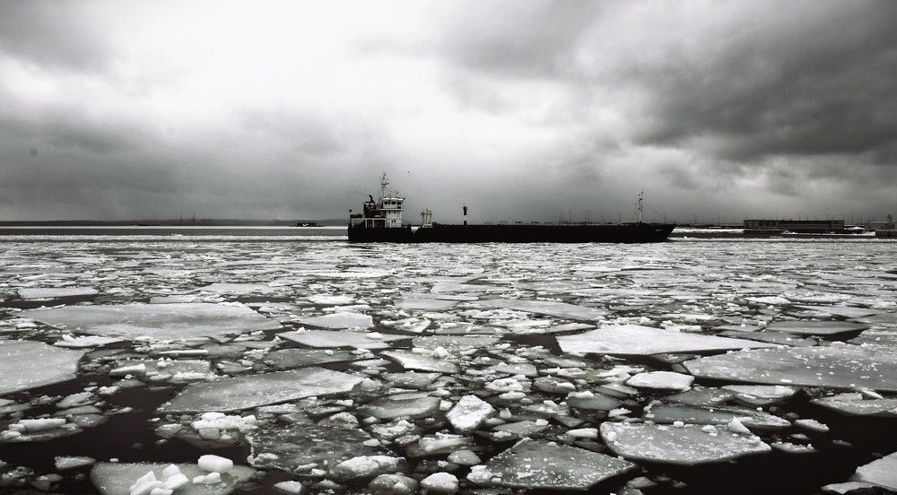 Photograph by Svetlana Gubanova