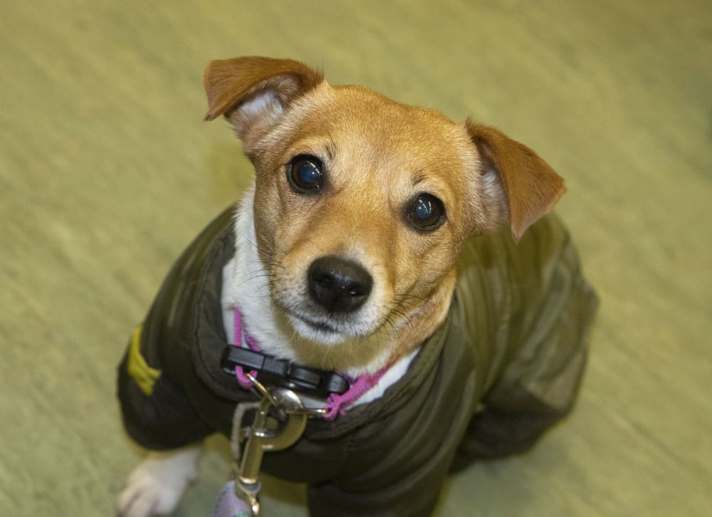 Photograph by владимир Заворотный