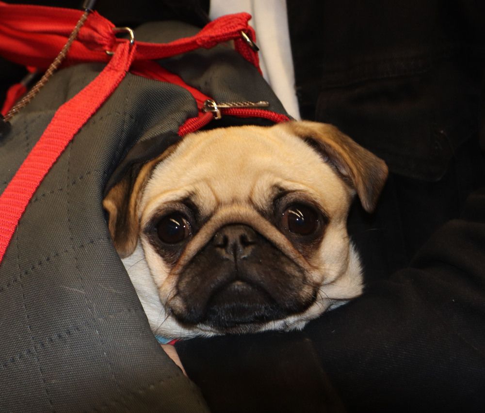 Photograph by владимир Заворотный