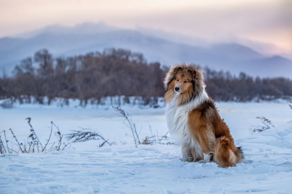 Photograph by СВЕТЛАНА ГРАЧЕВА