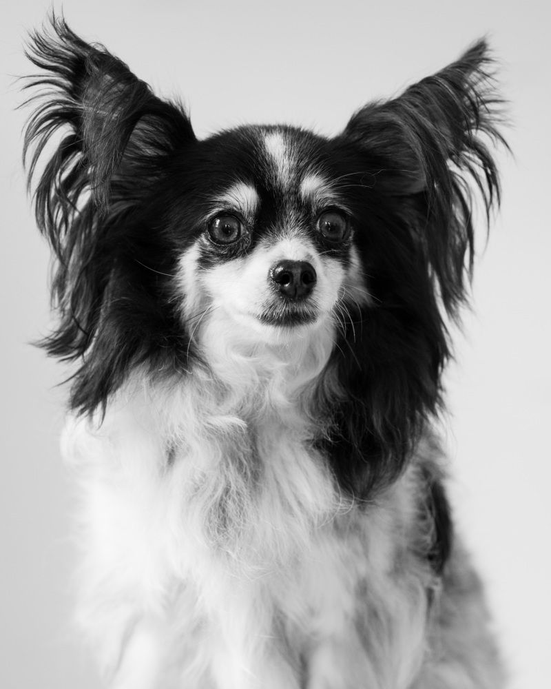 Photograph by Sarti Camilo