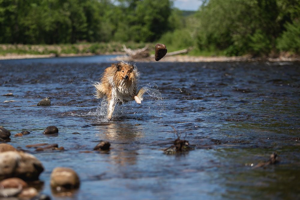 Photograph by СВЕТЛАНА ГРАЧЕВА