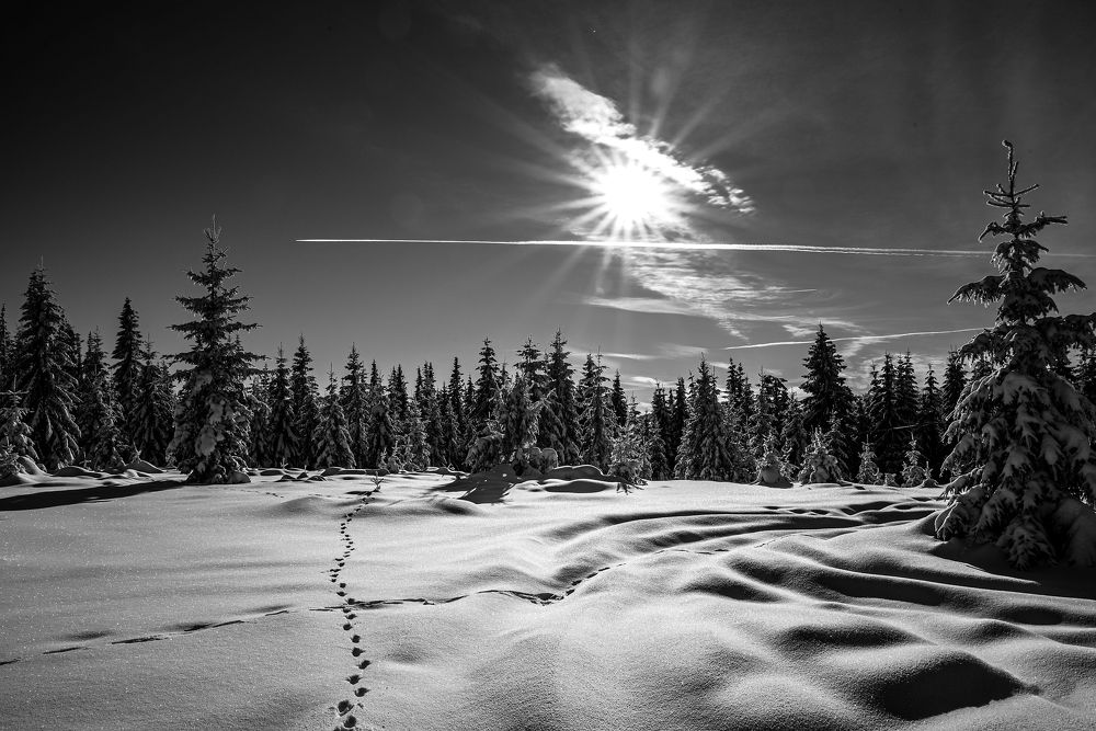 Photograph by levi bagy