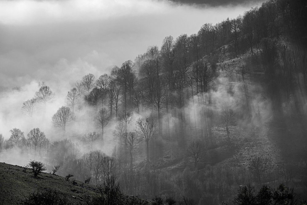 Photograph by levi bagy