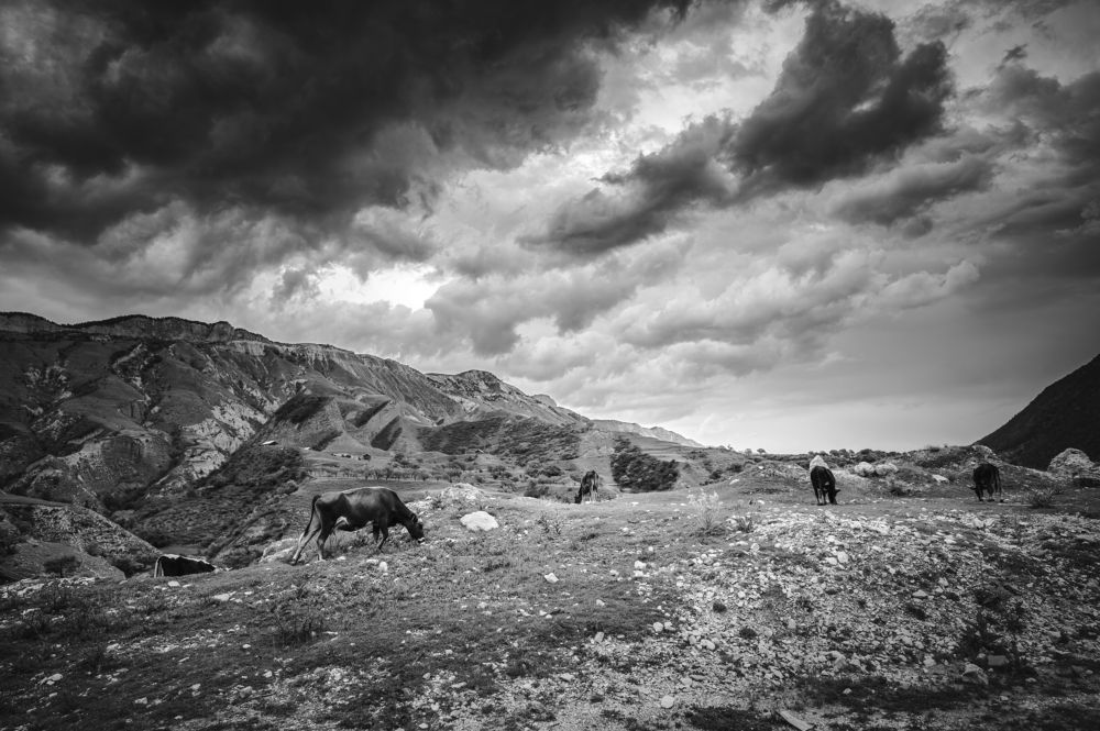 Photograph by Инна Фокина