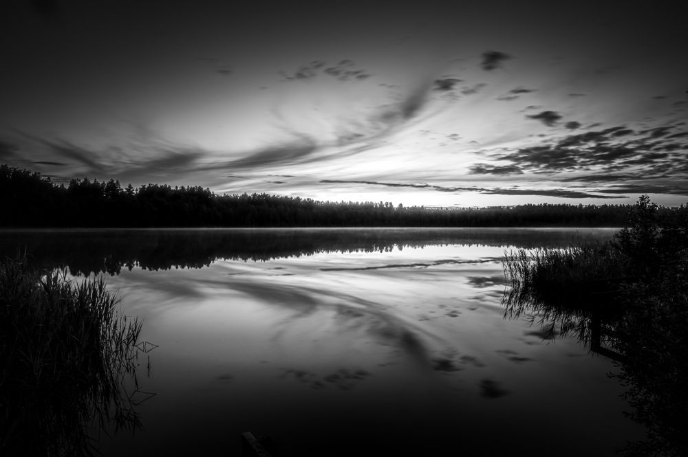 Photograph by Инна Фокина