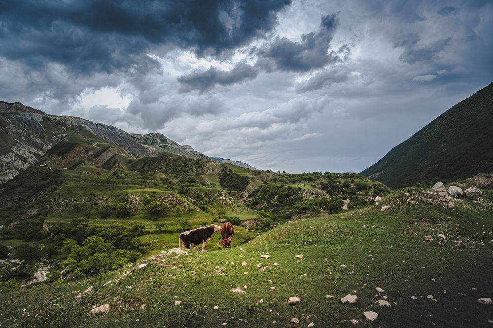 Photograph by Инна Фокина