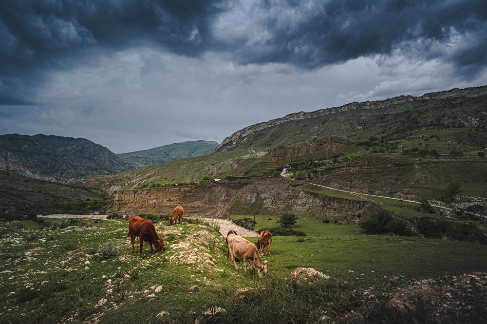 Photograph by Инна Фокина