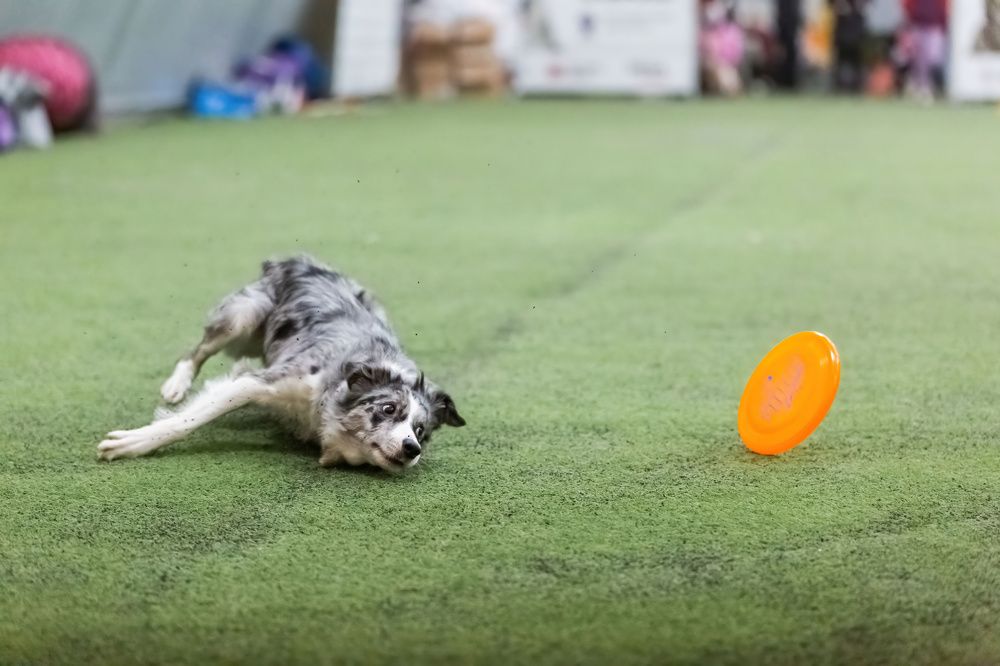 Photograph by Ольга