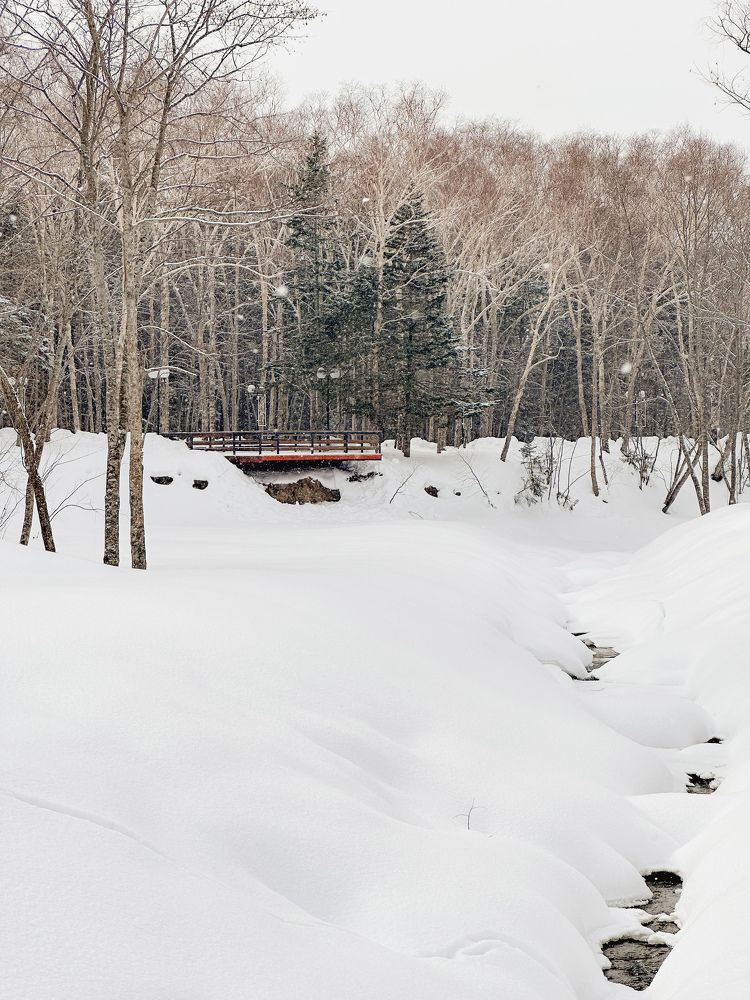 Photograph by Дина Чехова