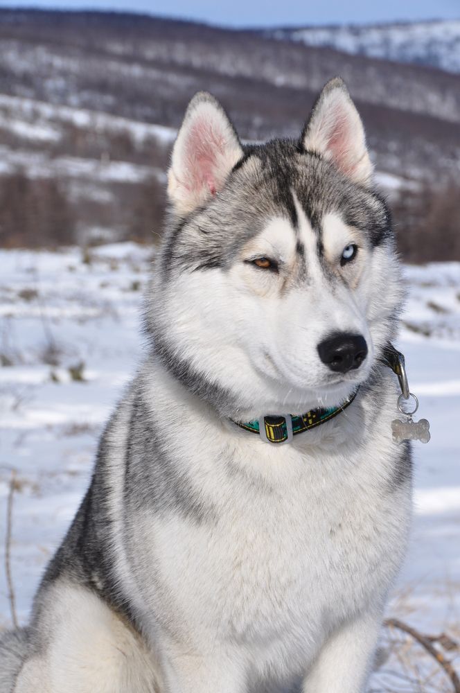 Photograph by Евгений Захаров