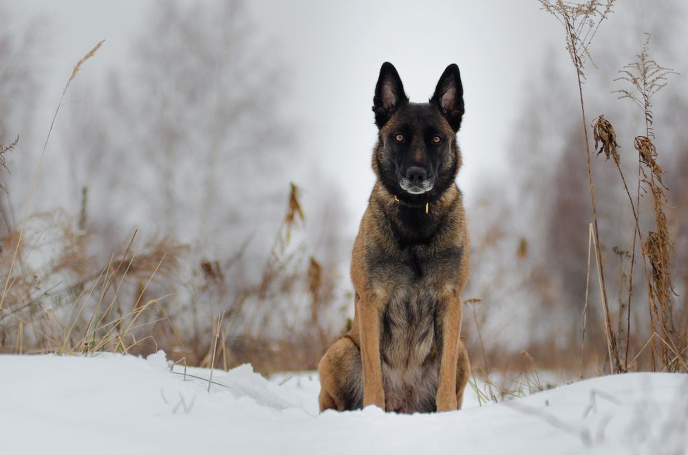 Photograph by Ольга Новикова