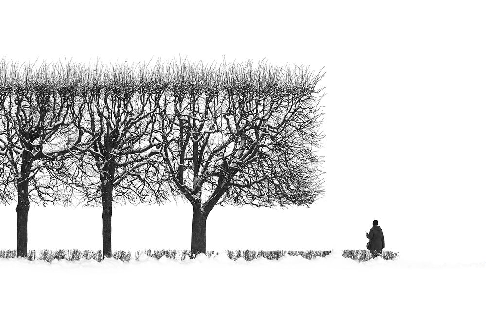 Photograph by Анжелика Титова