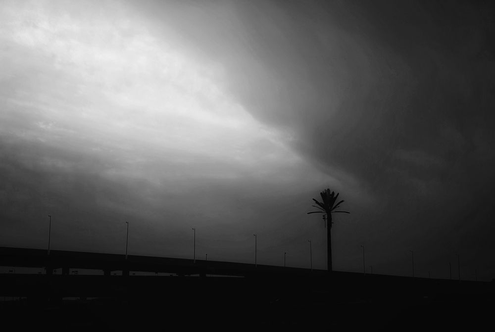 Photograph by Moamen Khaled