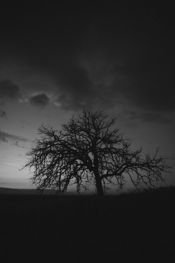 Photograph by Anna Vlasova