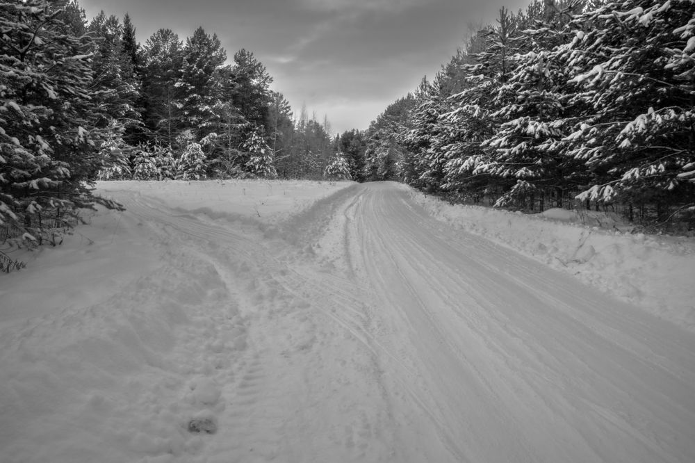 Photograph by  Максим