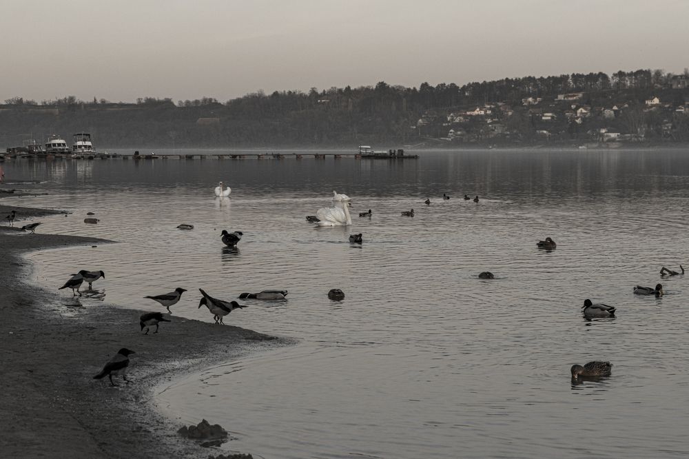 Photograph by Виктория Федосеенко