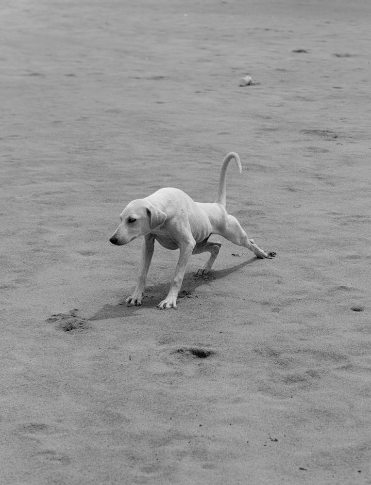 Photograph by Mahesh Varade