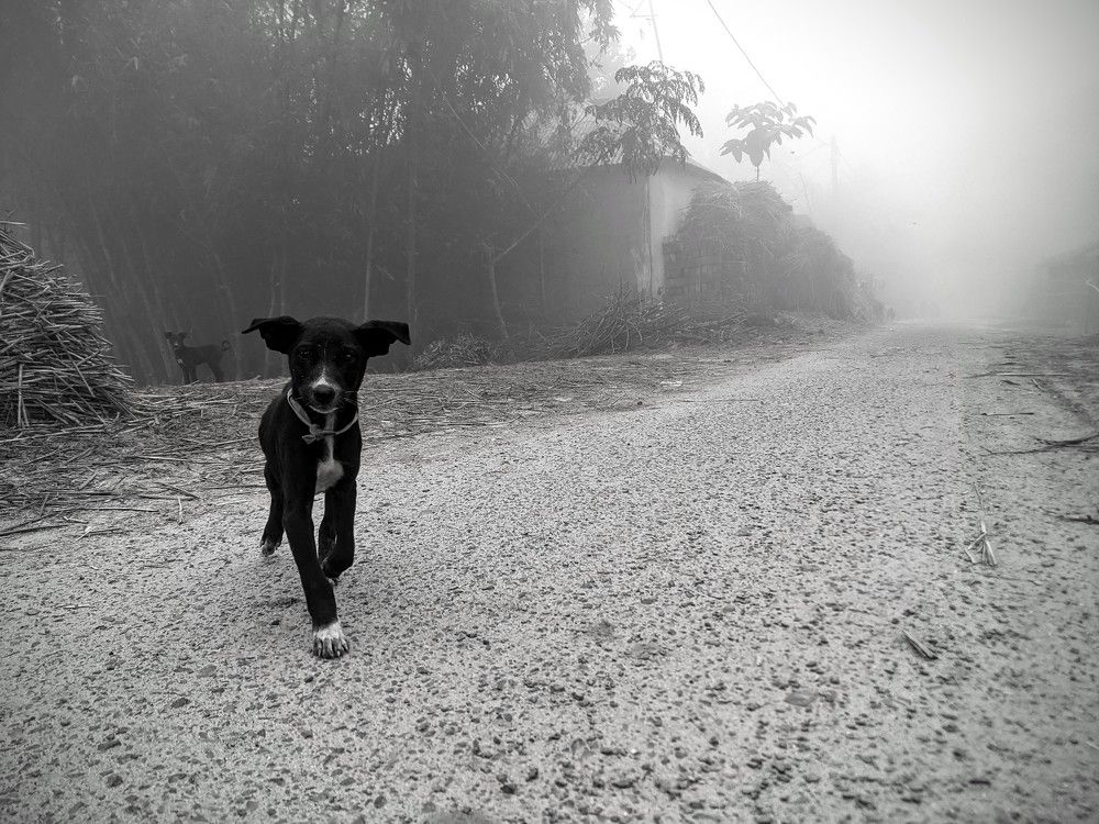 Photograph by Mahesh Varade