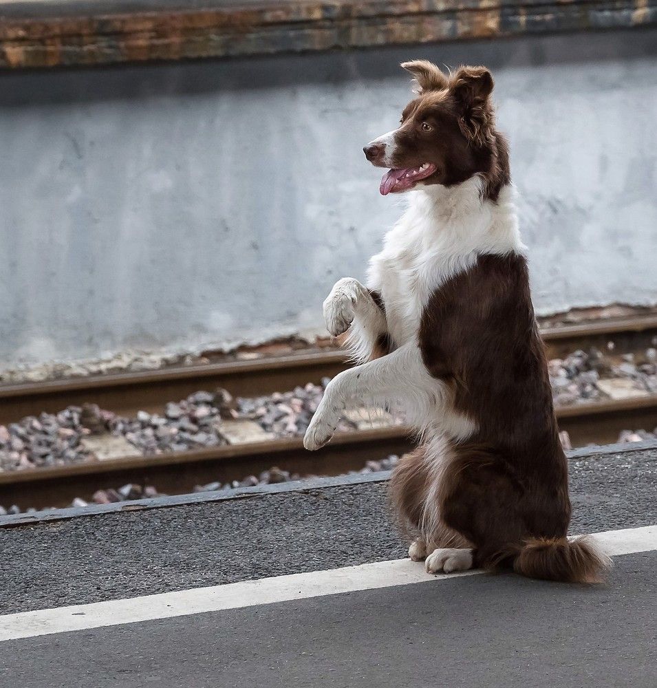 Photograph by Анна Стрелковская