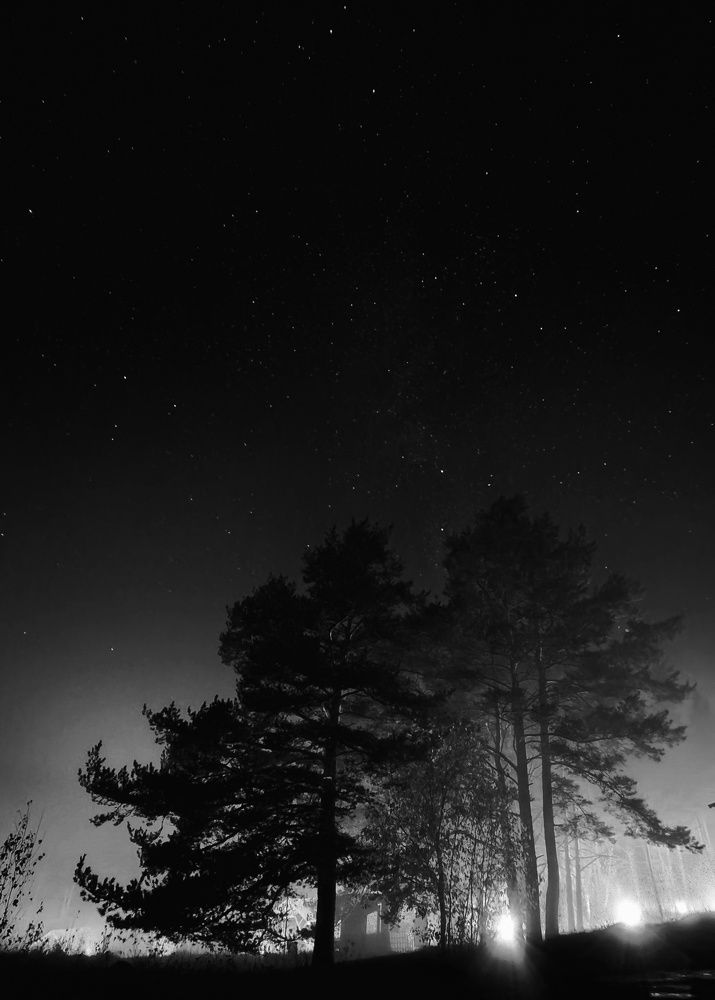 Photograph by Анастасия Алтабаева