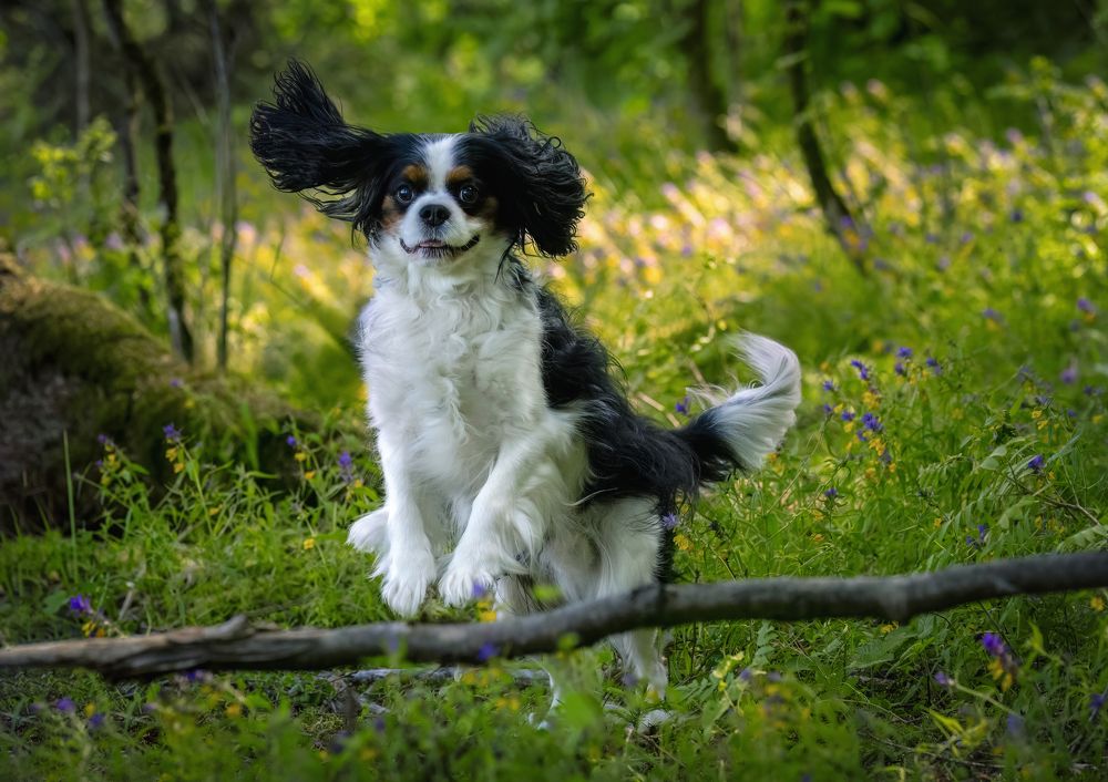 Photograph by Галина Павлова