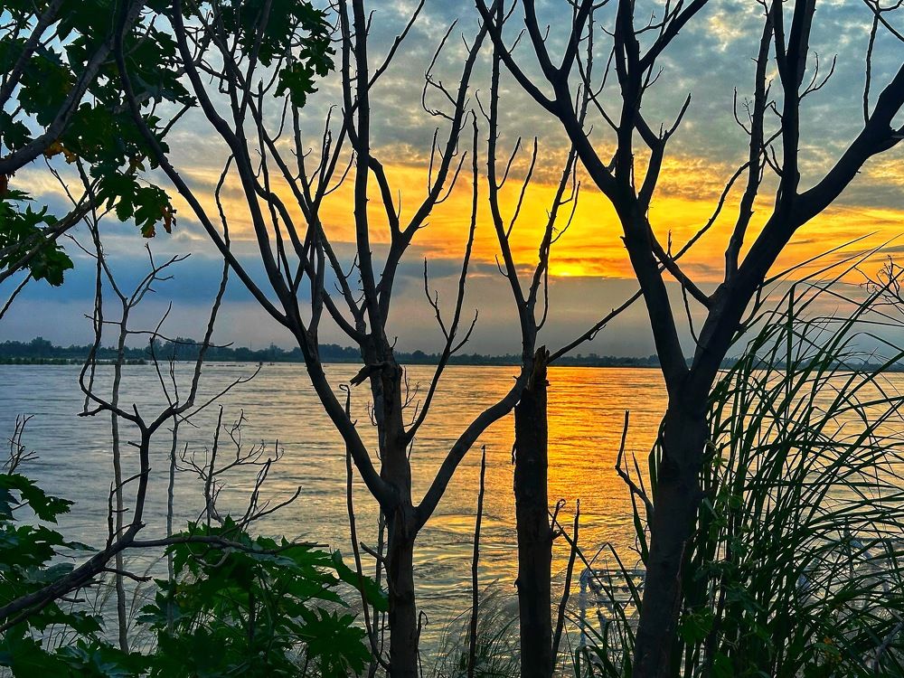 Photograph by Anil Sindoor