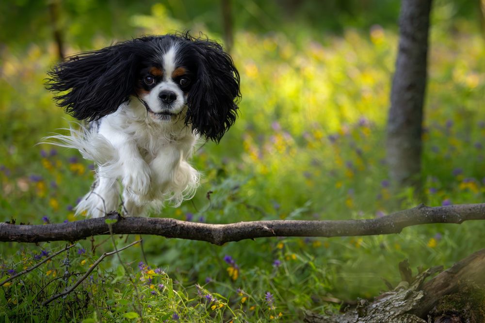 Photograph by Галина Павлова